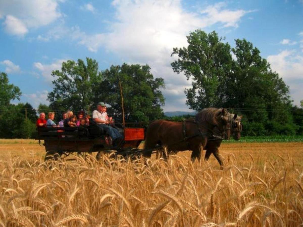 Ferienwohnungen Maierhof Oberried Oberried  Zewnętrze zdjęcie