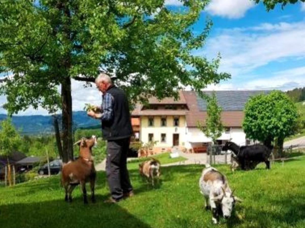 Ferienwohnungen Maierhof Oberried Oberried  Zewnętrze zdjęcie