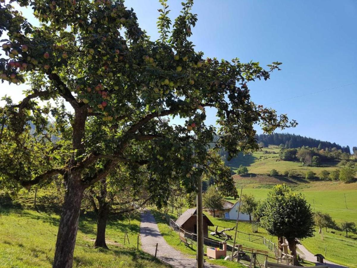 Ferienwohnungen Maierhof Oberried Oberried  Zewnętrze zdjęcie