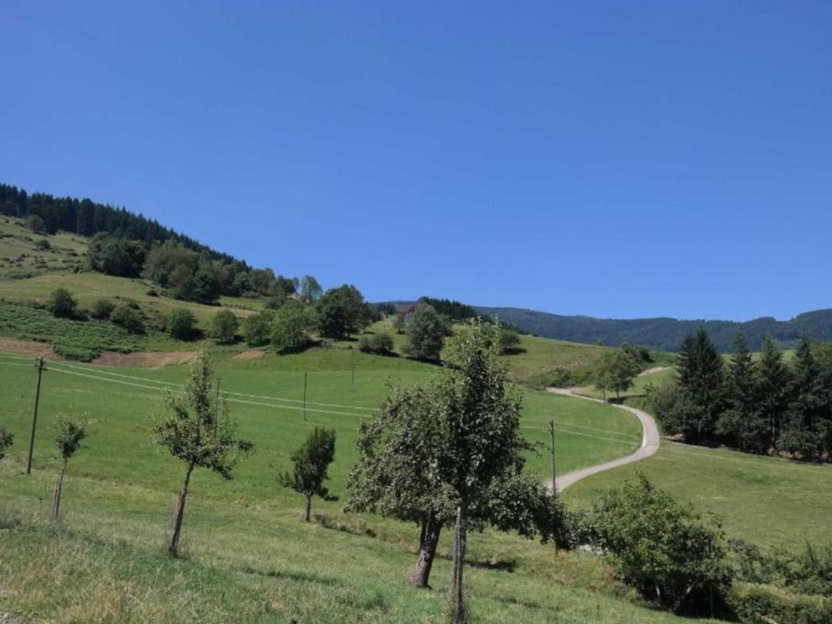 Ferienwohnungen Maierhof Oberried Oberried  Zewnętrze zdjęcie