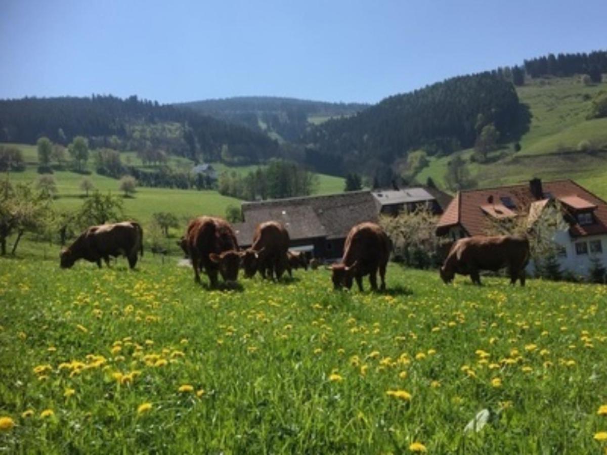 Ferienwohnungen Maierhof Oberried Oberried  Zewnętrze zdjęcie