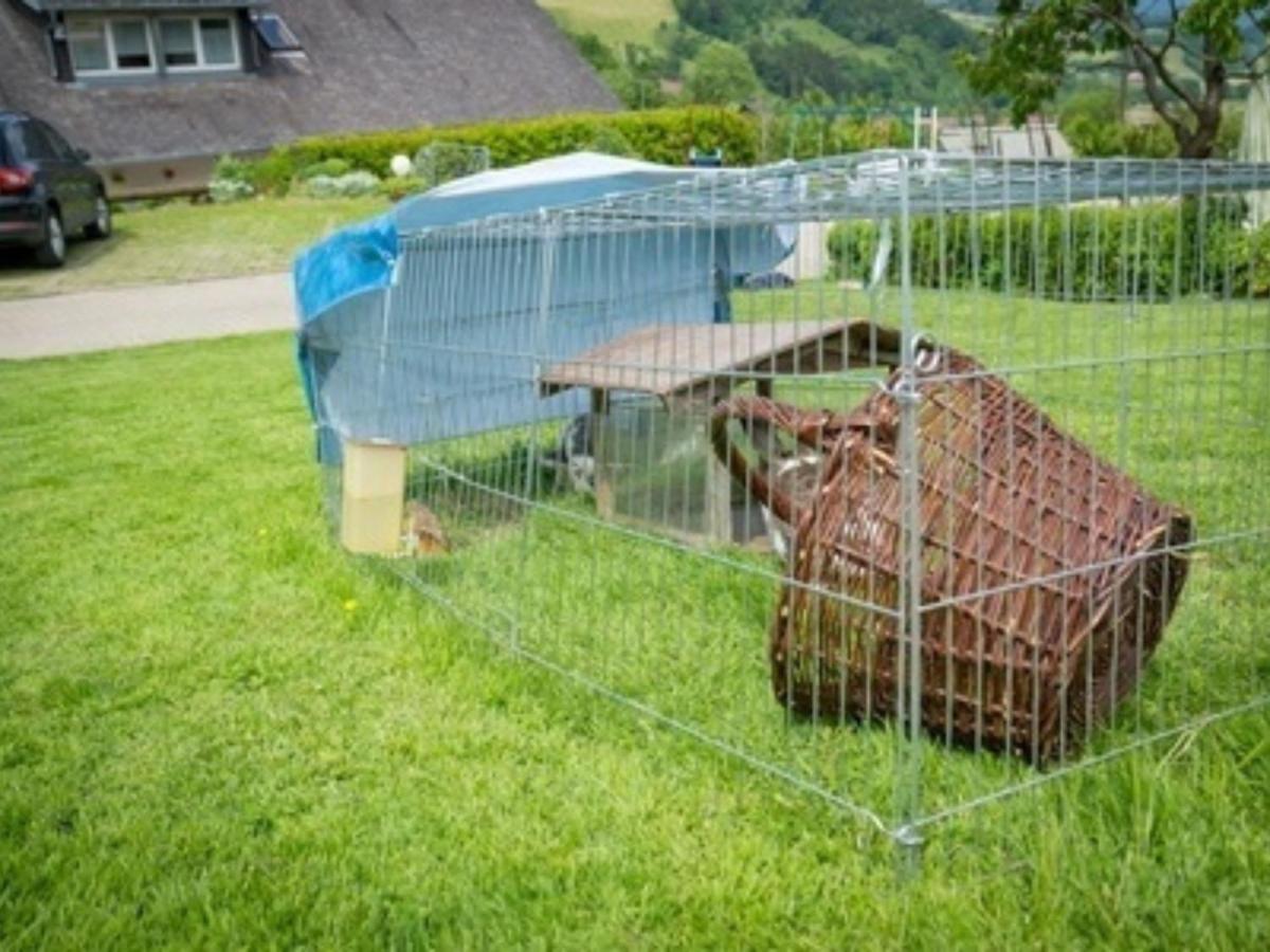 Ferienwohnungen Maierhof Oberried Oberried  Zewnętrze zdjęcie