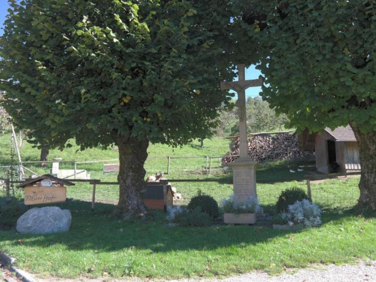 Ferienwohnungen Maierhof Oberried Oberried  Zewnętrze zdjęcie